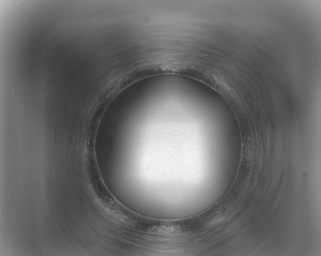 X0000069360639200605261959