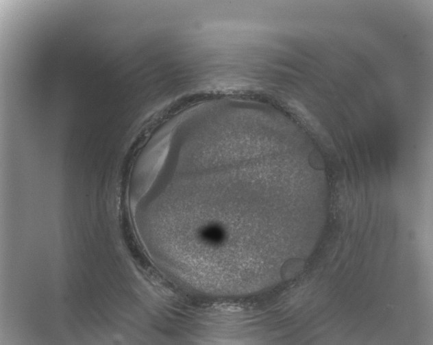 X0000069360640200605262000