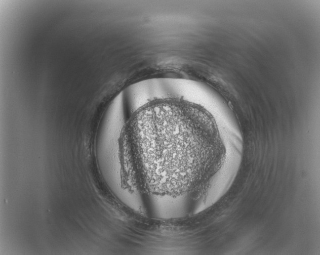 X0000069360641200605262000