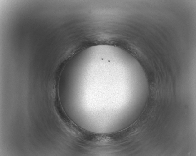 X0000069360642200605262000