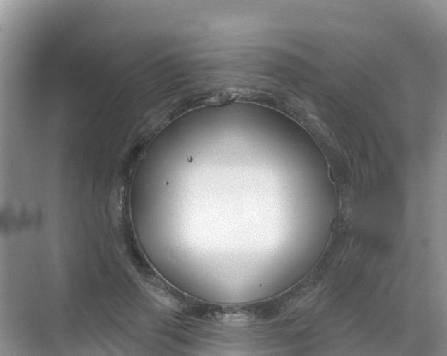 X0000069360645200605262000