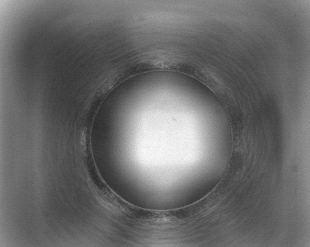 X0000069360646200605262000