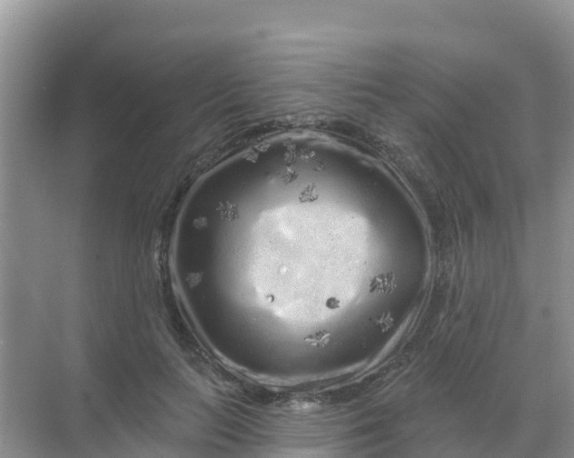 X0000069360647200605262000