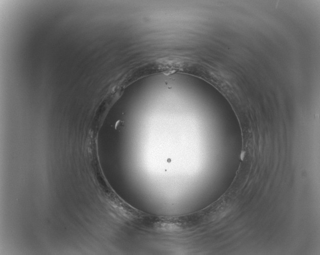 X0000069360649200605262000