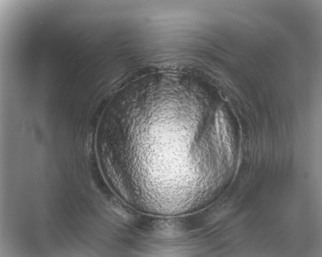 X0000069360652200605262000