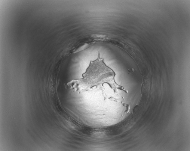 X0000069360653200605262000