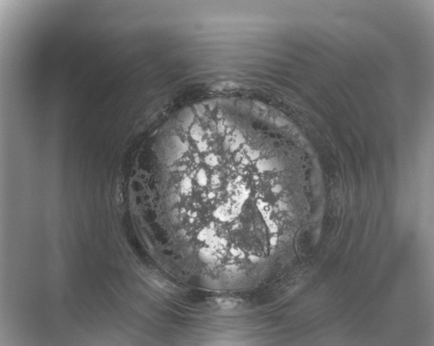 X0000069360654200605262000