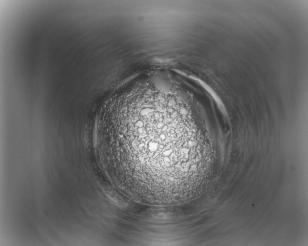 X0000069360658200605262000