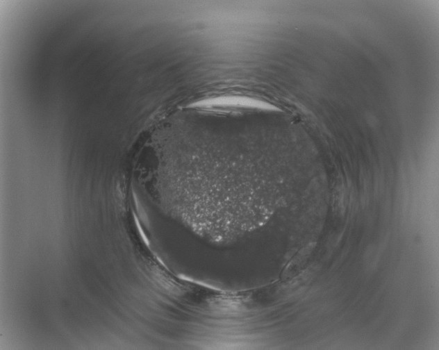 X0000069360661200605262000