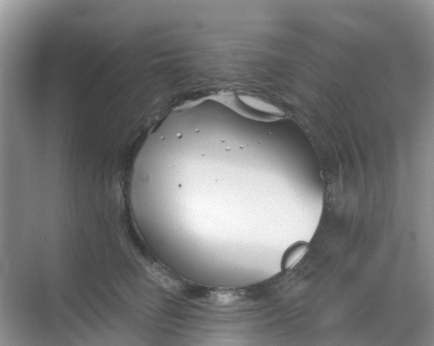 X0000069360662200605262000