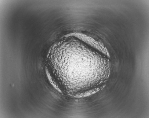 X0000069360663200605262000