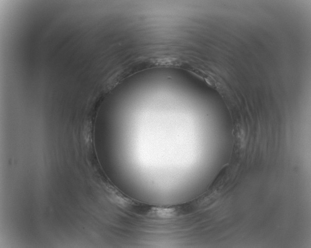 X0000069360665200605262000