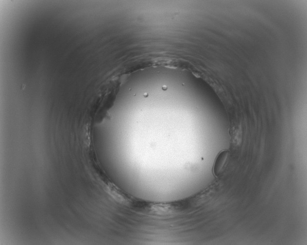 X0000069360666200605262000