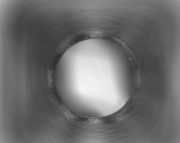 X0000069360667200605262000