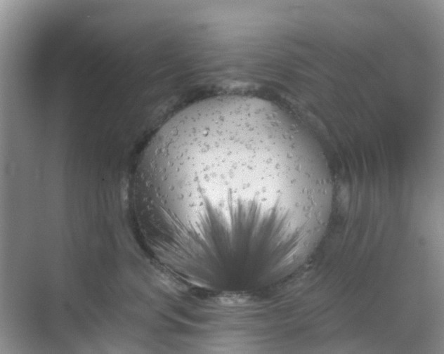 X0000069360668200605262000