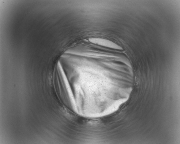 X0000069360669200605262000