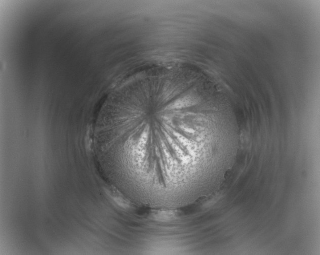 X0000069360671200605262000