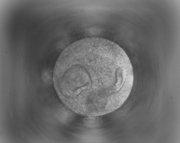 X0000069360672200605262000