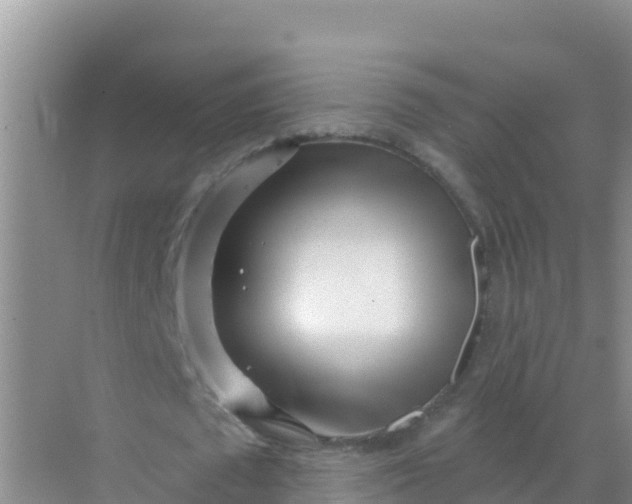 X0000069360673200605261959