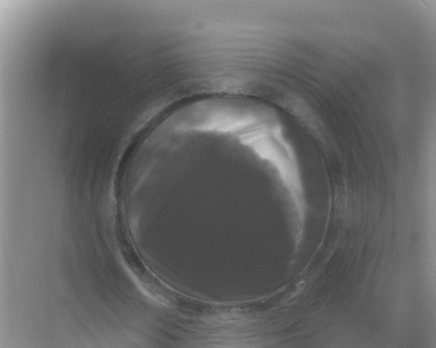 X0000069360674200605261959