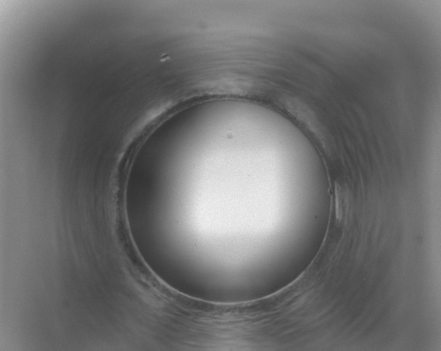 X0000069360675200605261959