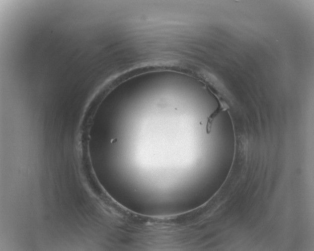 X0000069360676200605261959