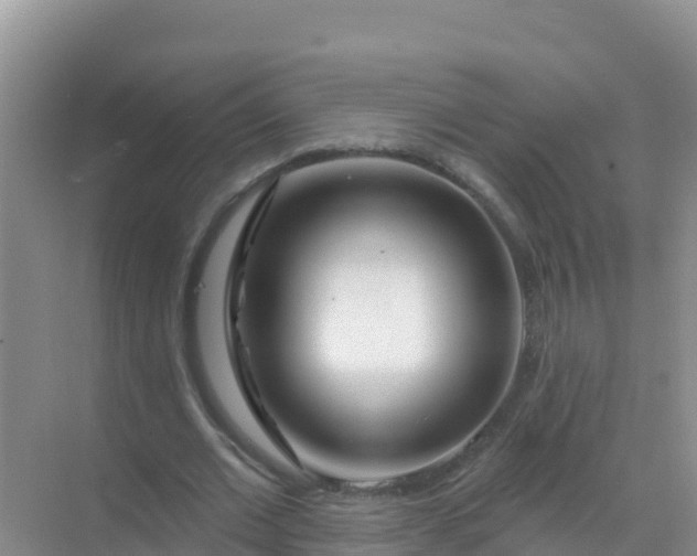 X0000069360677200605261959