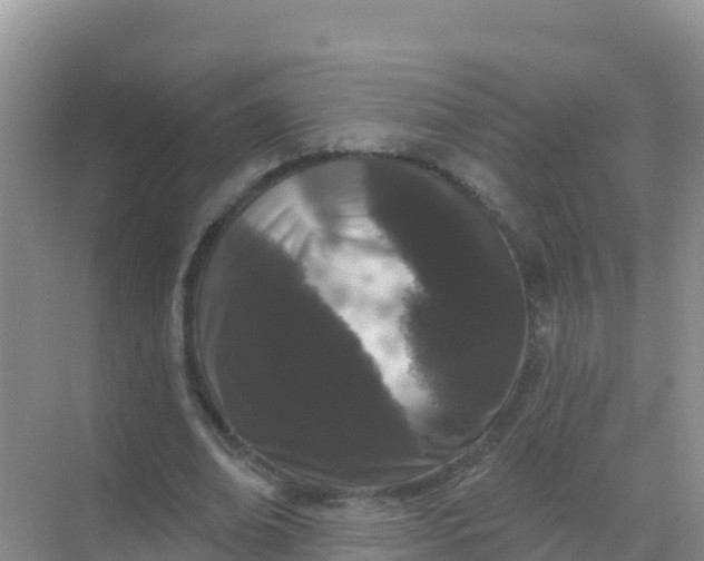 X0000069360678200605261959