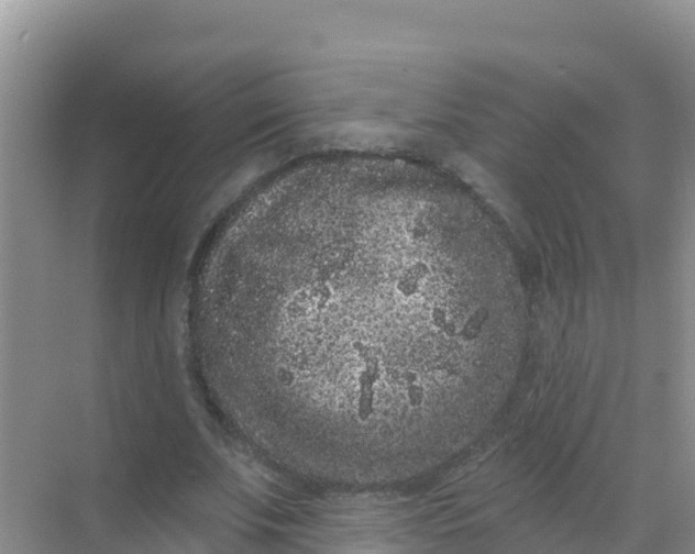 X0000069360679200605261959