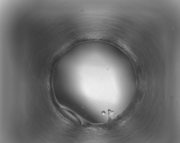 X0000069360681200605261959