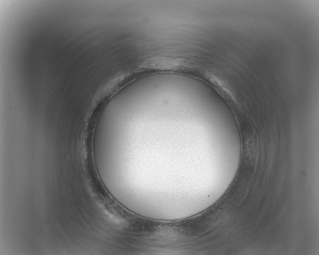 X0000069360682200605261959