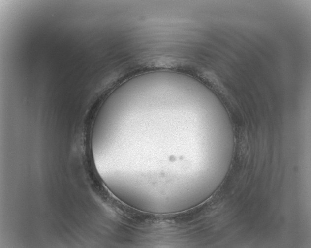 X0000069360683200605261959