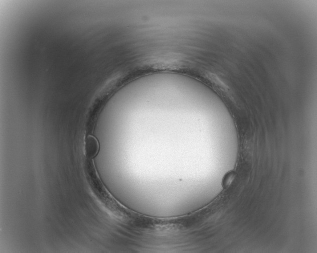 X0000069360686200605261959