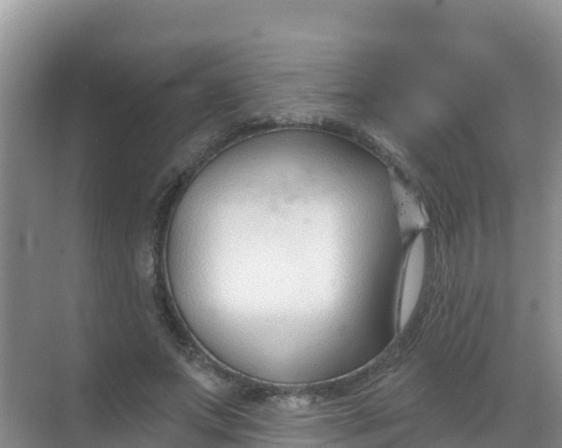 X0000069360687200605261959