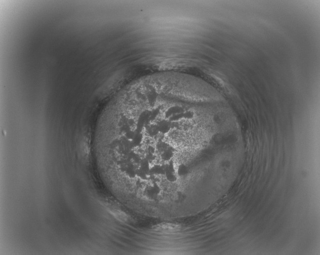 X0000069360691200605261959