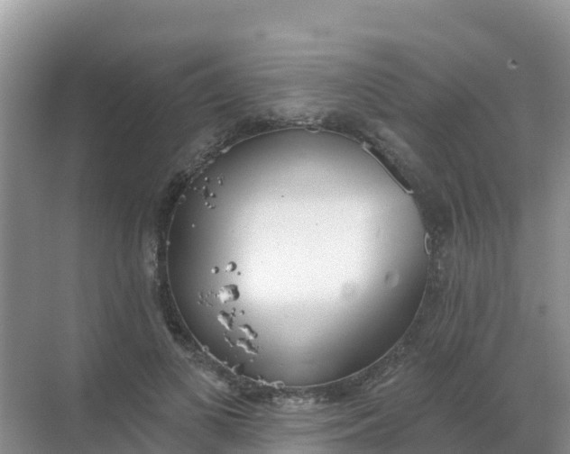 X0000069360693200605261959