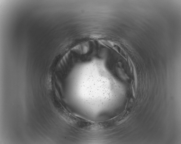 X0000069360696200605261959