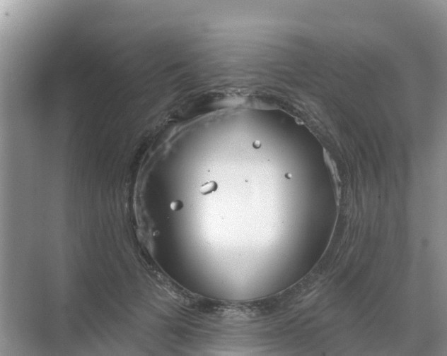 X0000069360697200605261959