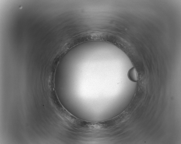 X0000069360698200605261959