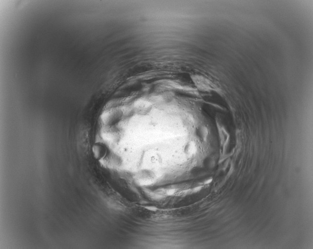 X0000069360699200605261959