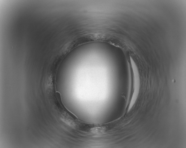 X0000069360700200605261959