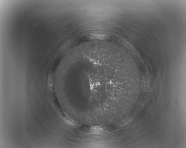 X0000069360701200605261959