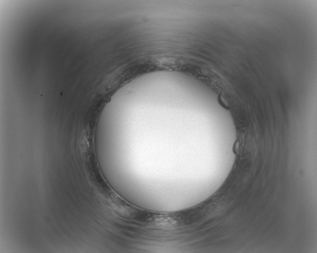 X0000069360702200605261959