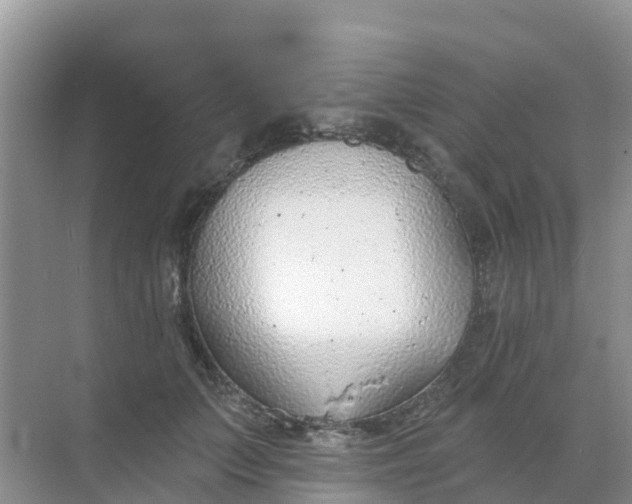 X0000069360703200605261959