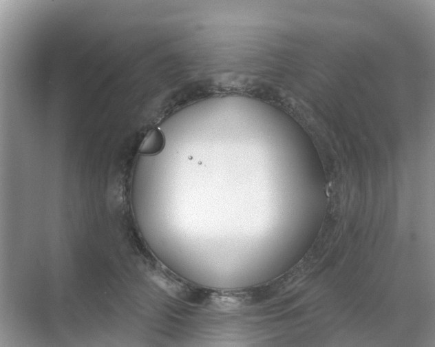 X0000069360706200605261959