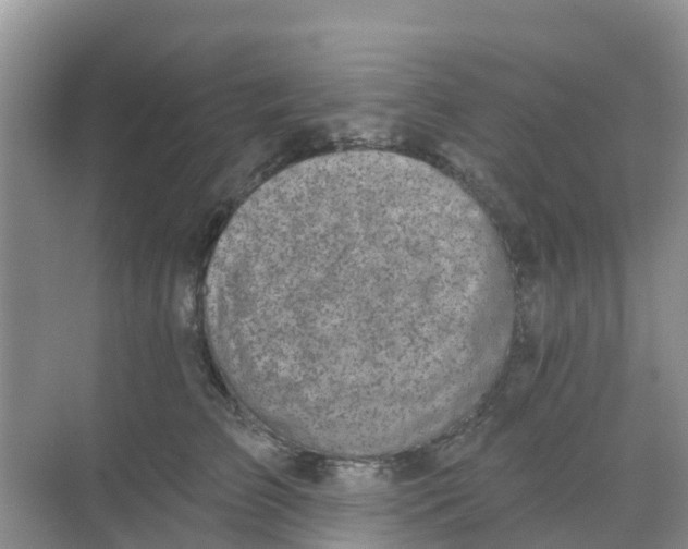 X0000069360709200605261959