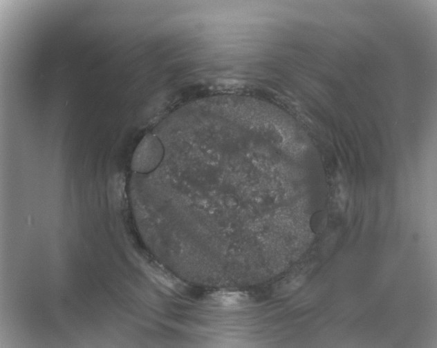 X0000069360711200605261959