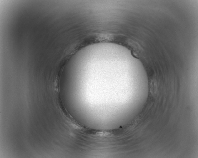 X0000069360714200605261959