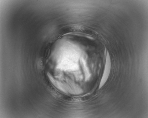 X0000069360715200605261959