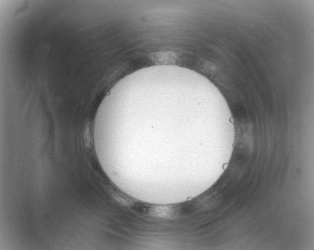 X0000069360717200605261959